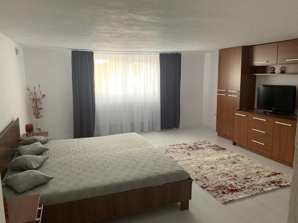 Casa Deac Lägenhet Sebeş Exteriör bild